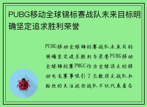 PUBG移动全球锦标赛战队未来目标明确坚定追求胜利荣誉