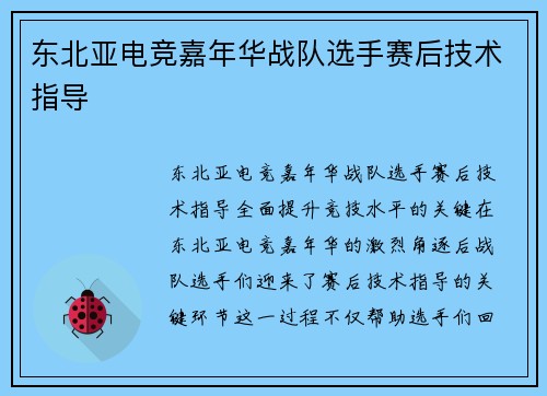 东北亚电竞嘉年华战队选手赛后技术指导