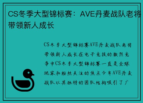 CS冬季大型锦标赛：AVE丹麦战队老将带领新人成长