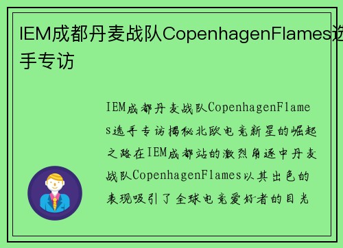 IEM成都丹麦战队CopenhagenFlames选手专访